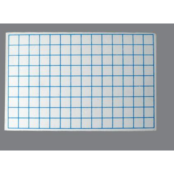 Tấm nhựa kẻ ô vuông (CSVL2089)